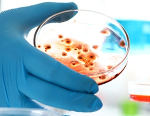 AGX Nordic arbetar med att lösa problem med mögel och radon i Norden