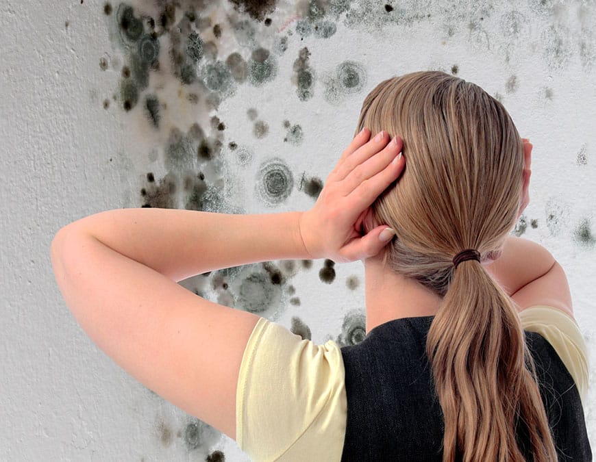 Svartmögel trivs bra i hem och utrymmen med hög luftfuktighet, dålig ventilation eller vid vatten- och fuktskador. Ofta visar sig svartmögel som en svart beläggning i en rund formation av svarta prickar