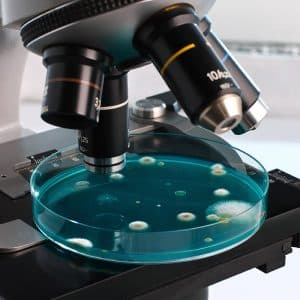 Ett enkelt lufttest som undersöker mögelsporer i luften. När testet är färdigt skickar du det till oss. Vi analyserar därefter testet och utarbetar en rapport med de viktigaste typerna av mögel som framkom i provet