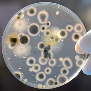 Med ett lufttest kan du enkel ta reda på om ditt hus drabbats av dolt svartmögel