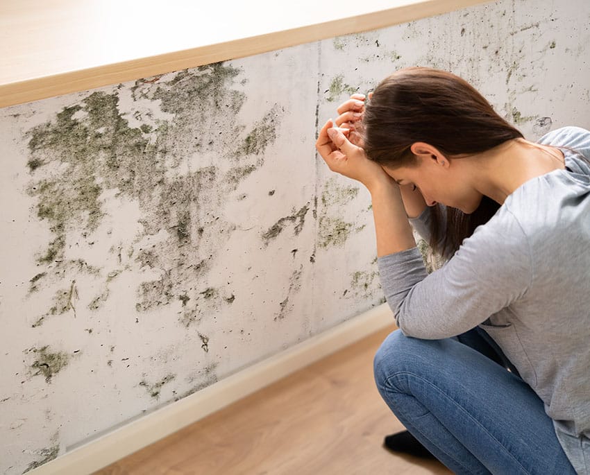 Mögel växer oftast i fuktiga, mörka miljöer. Andra indikationer inkluderar synliga svarta, gröna eller vita fläckar på väggar, tak eller möbler