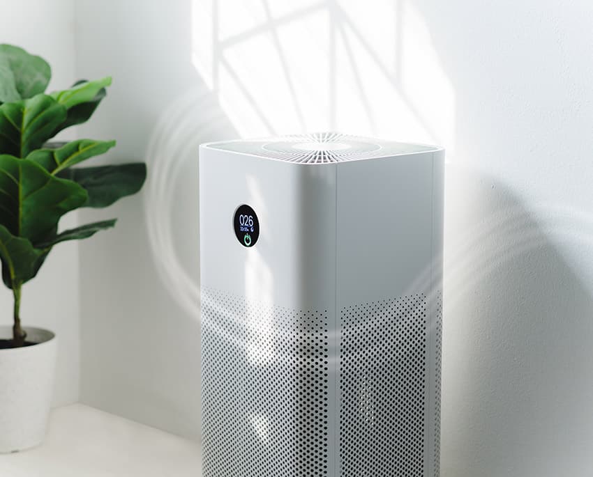 Vissa luftrenare, särskilt de med HEPA-filter, kan effektivt fånga och ta bort mögelsporer från luften. Medan de kan hjälpa till att förbättra luftkvaliteten, bör de inte användas som den enda lösningen utan snarare som ett komplement till andra åtgärder