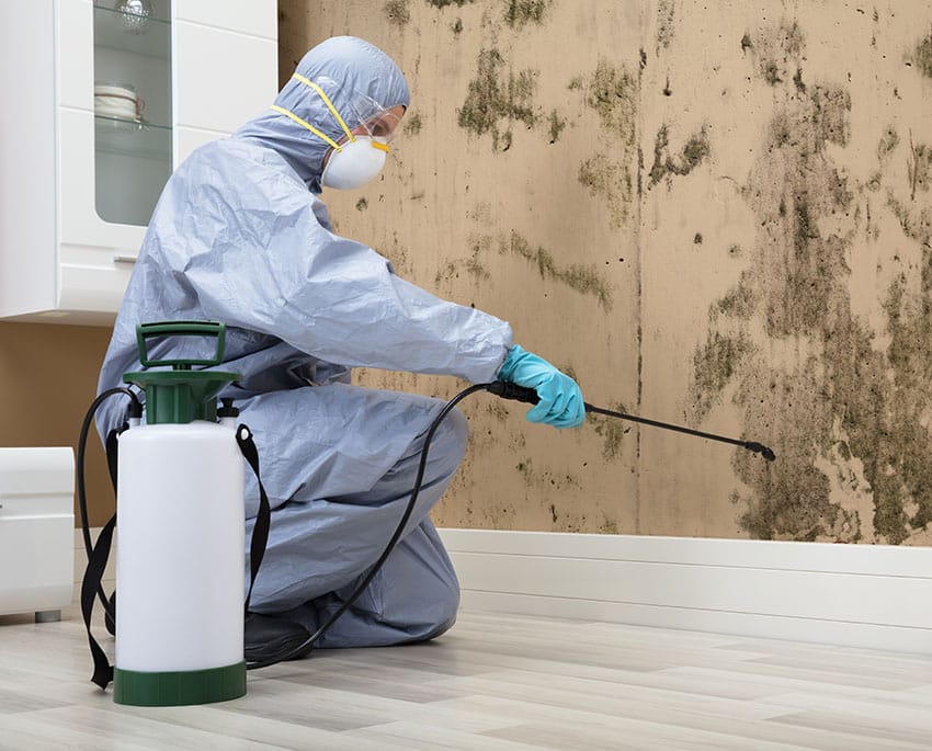 Mögelsanering innebär att ta bort mögel från drabbade ytor och områden