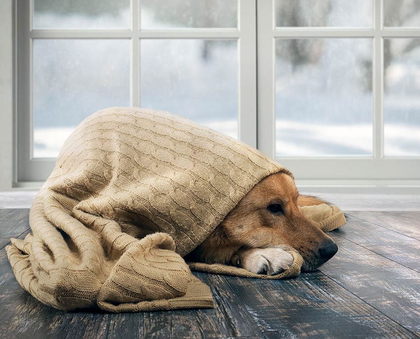 Värmeåtervinningssystem återvinner värme från inomhusluften istället för att bara blåsa in kall luft som i ett vanligt ventilationssystem
