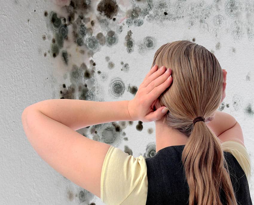 När det gäller källare, är luftfuktighet och ventilation avgörande för att förhindra mögelbildning