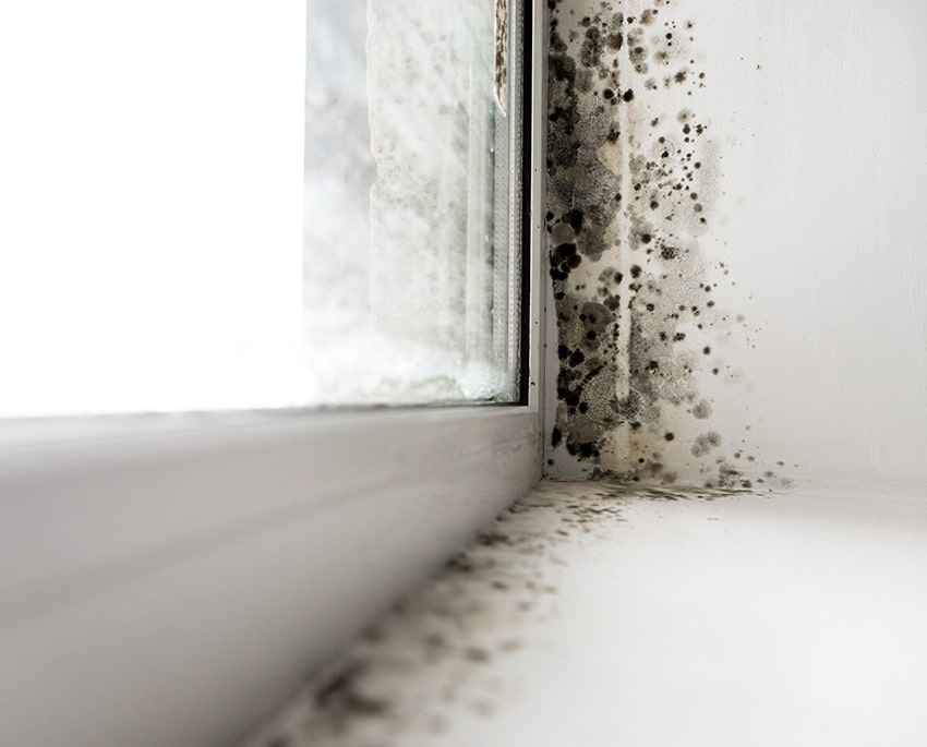 Mögellukt kan uppstå nära fönster och dörrar där kondens kan bildas