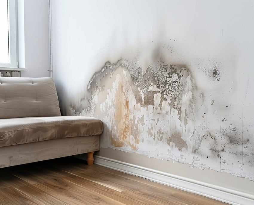 Om luften inte cirkulerar tillräckligt kan fukten stanna kvar i huset och leda till mögel