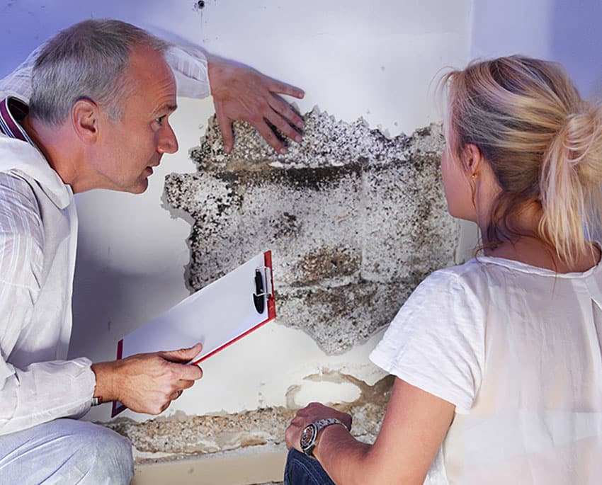 Medan vissa mögeltyper är synliga för blotta ögat, kan andra typer av mögel gömma sig bakom väggar, under golv eller i taket