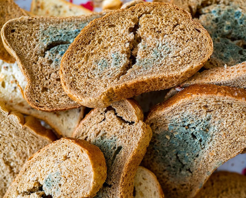 Om du upptäcker mögel i kylskåpet, frysen eller andra köksutrymmen kan det leda till kontaminering av livsmedel