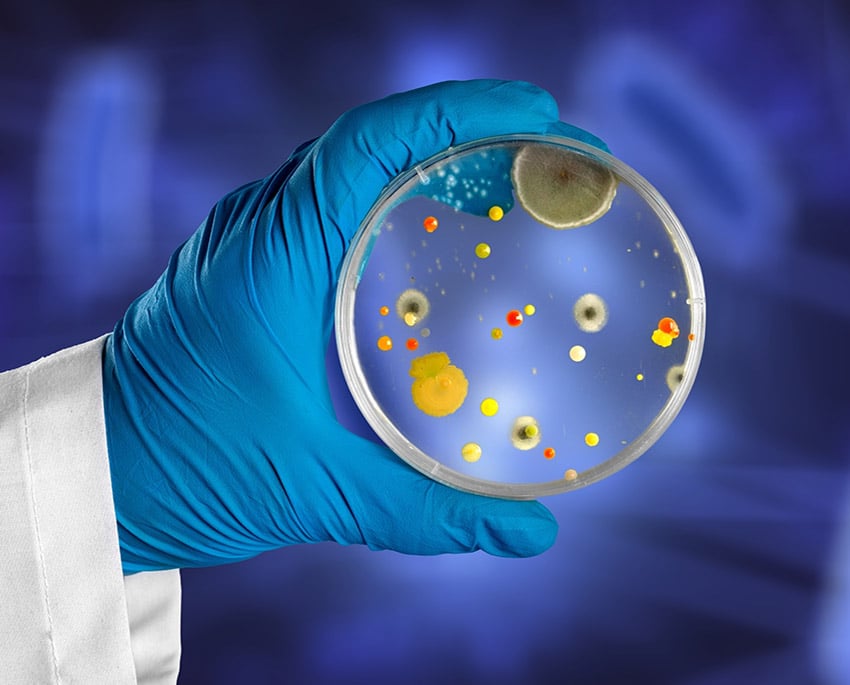 För att veta säkert om dina symtom orsakas av svartmögel rekommenderas ett mögeltest