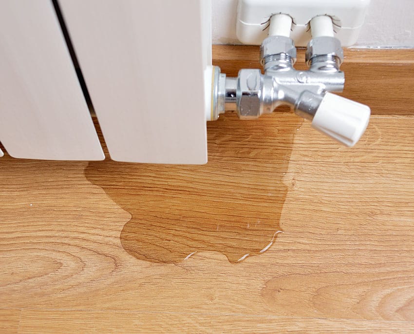 Svartmögel frodas i fuktiga och mörka miljöer. Trä som är utsatt för konstant fukt, som kan komma från läckande rör, otillräcklig ventilation eller direkt kontakt med markfukt, är en idealisk grogrund