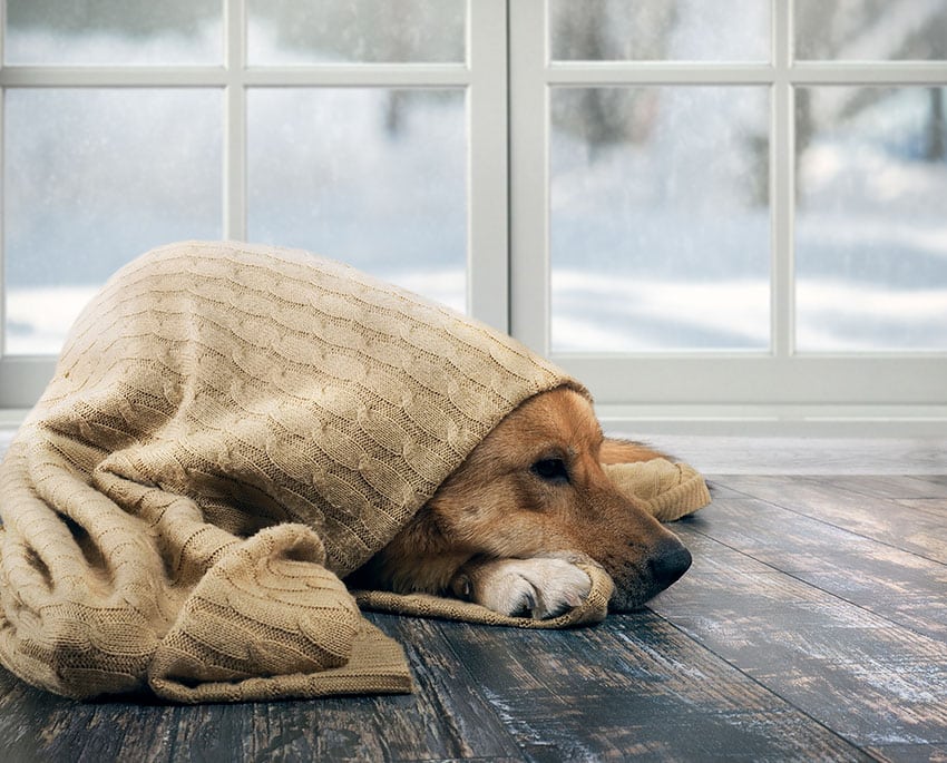 Isolering bidrar till att behålla värmen inomhus och därmed minska behovet av att använda uppvärmning